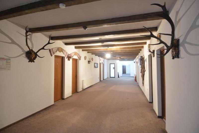 Pensiunea Doli Sighetu Marmaţiei Exterior foto